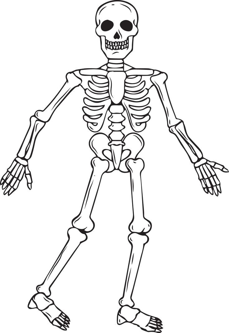 31 Spooky Skeleton Coloring Pages for Kids Printable 30