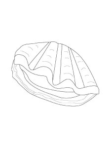 unique clam coloring pages printable jpg