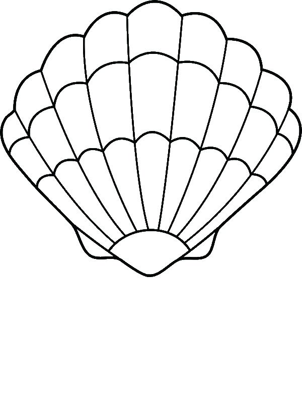 unique clam coloring pages printable jpg