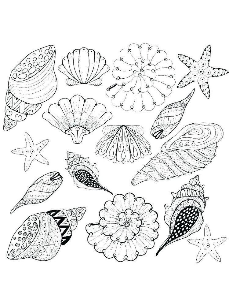 31 Unique Clam Coloring Pages Printable 13