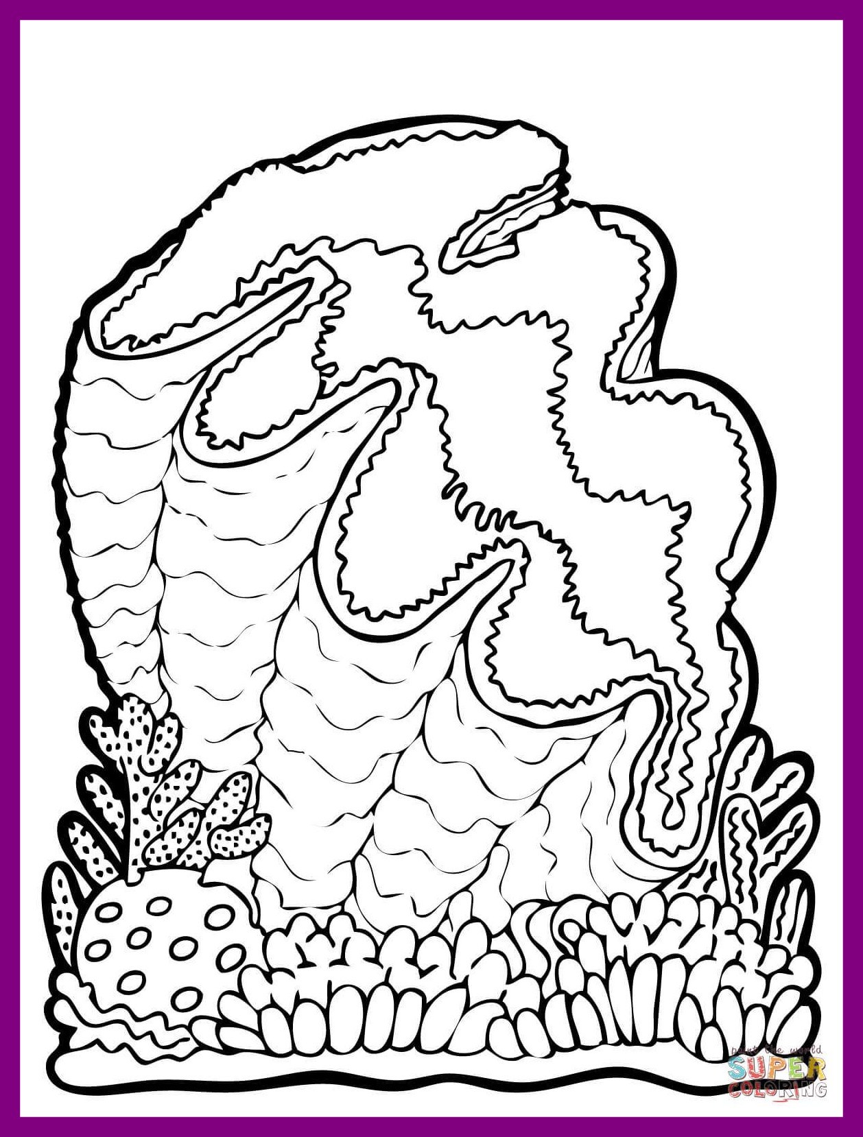 31 Unique Clam Coloring Pages Printable 20