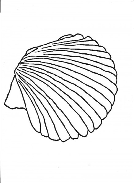 unique clam coloring pages printable jpg