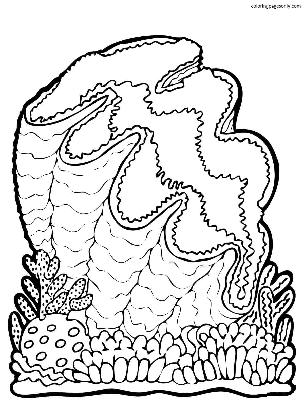 31 Unique Clam Coloring Pages Printable 25