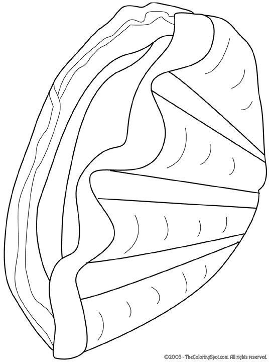 31 Unique Clam Coloring Pages Printable 28