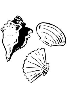 31 Unique Clam Coloring Pages Printable 29