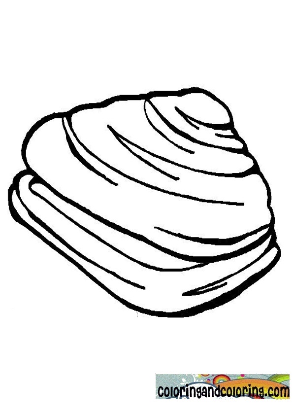 31 Unique Clam Coloring Pages Printable 3