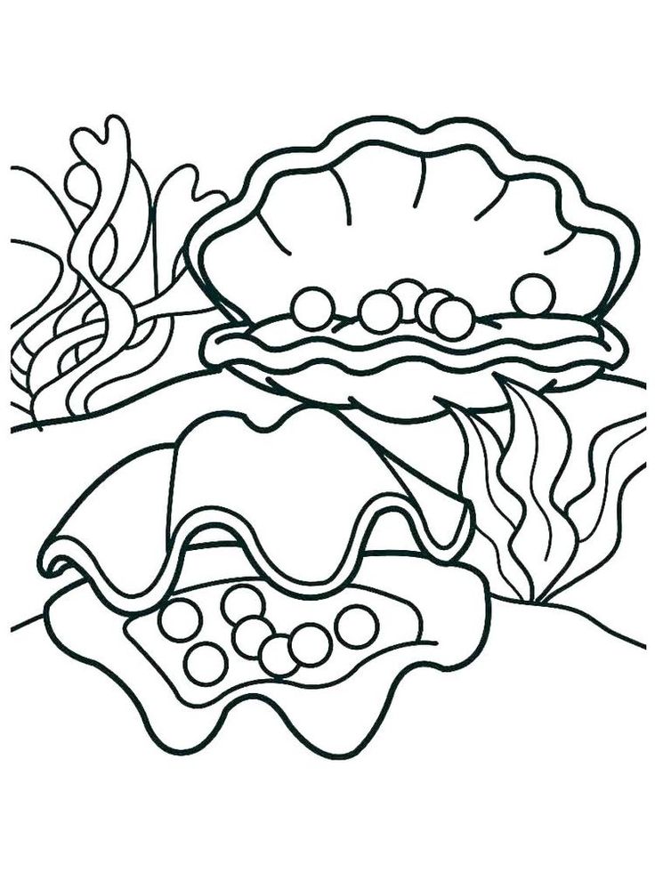 31 Unique Clam Coloring Pages Printable 32