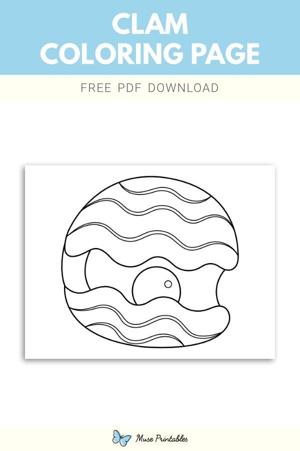 unique clam coloring pages printable jpg