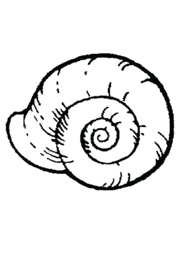 31 Unique Clam Coloring Pages Printable 34