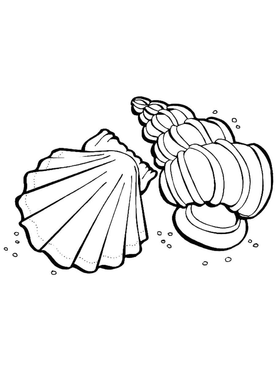 31 Unique Clam Coloring Pages Printable 5