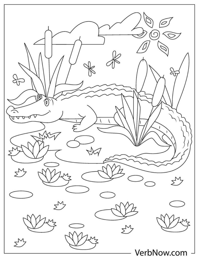 32 Alligator Coloring Pages PDF Printable 1