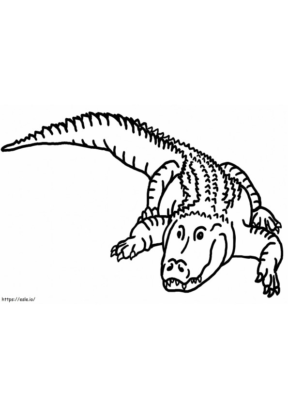 32 Alligator Coloring Pages PDF Printable 11