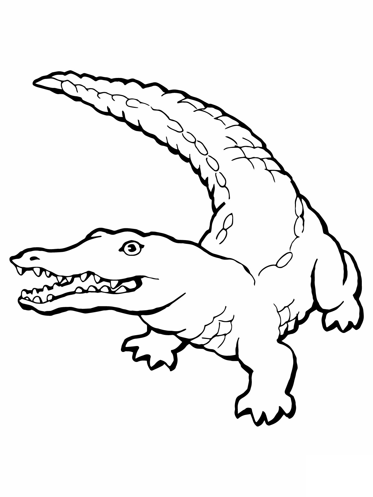 32 Alligator Coloring Pages PDF Printable 12