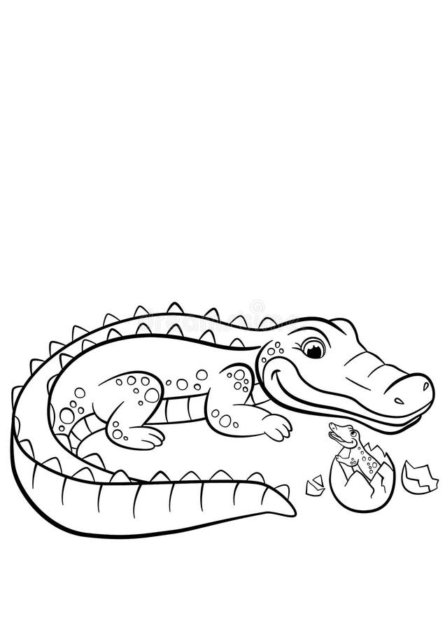 32 Alligator Coloring Pages PDF Printable 15