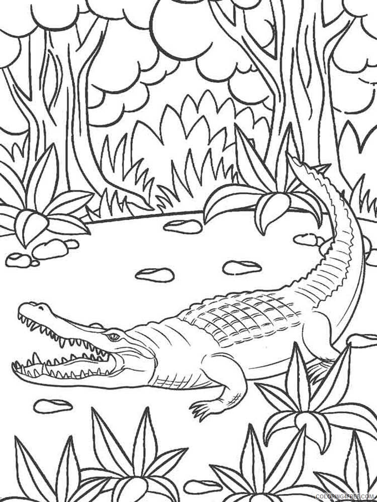 alligator coloring pages pdf printable jpg