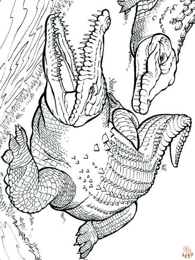 32 Alligator Coloring Pages PDF Printable 23