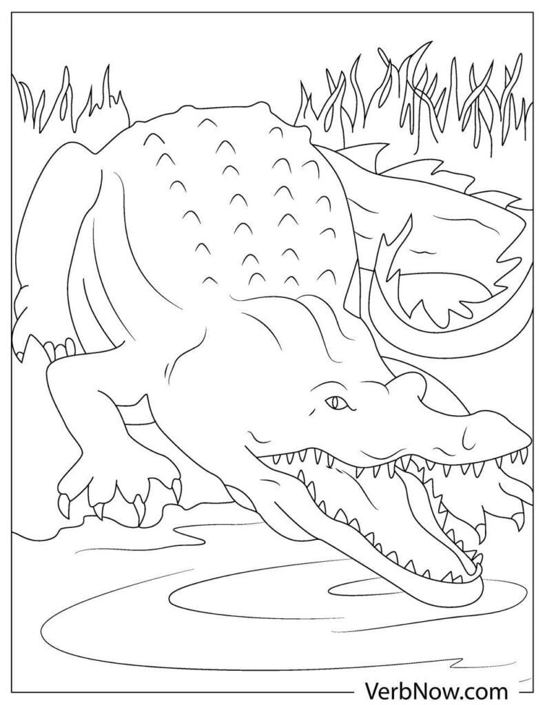 alligator coloring pages pdf printable jpg