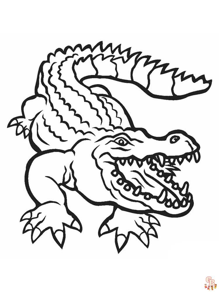 alligator coloring pages pdf printable jpg