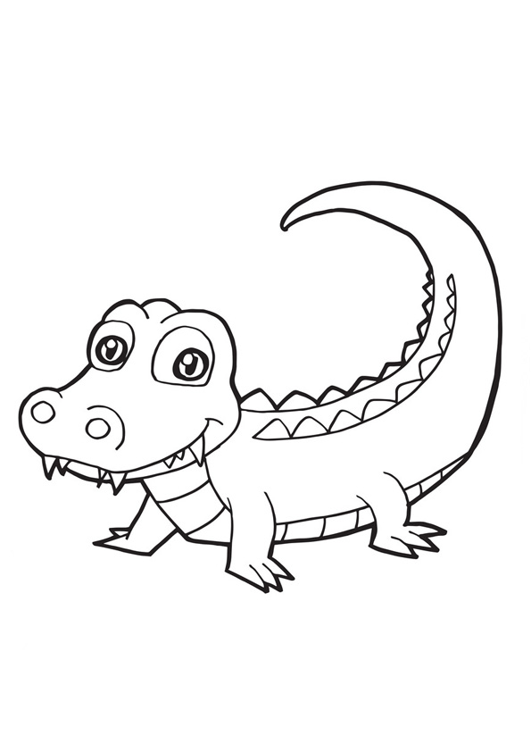 alligator coloring pages pdf printable jpg