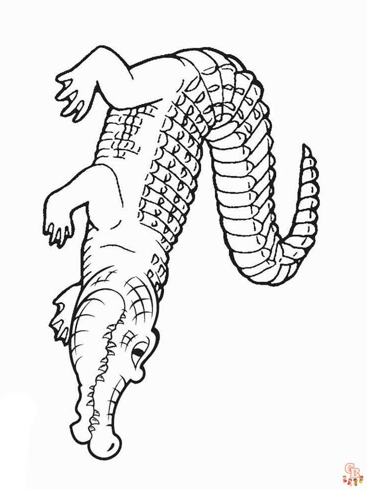 32 Alligator Coloring Pages PDF Printable 32