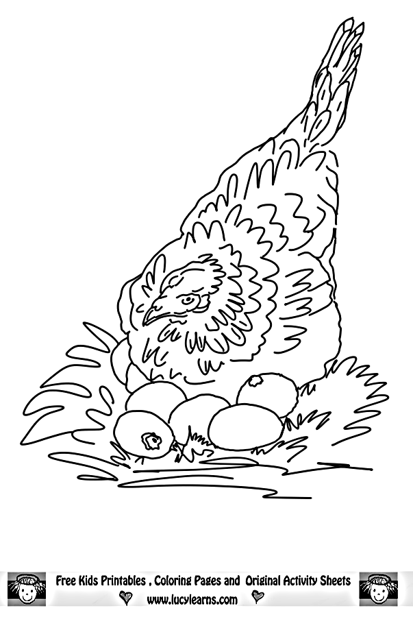 32 Cute Chicken Coloring Pages Printable 20