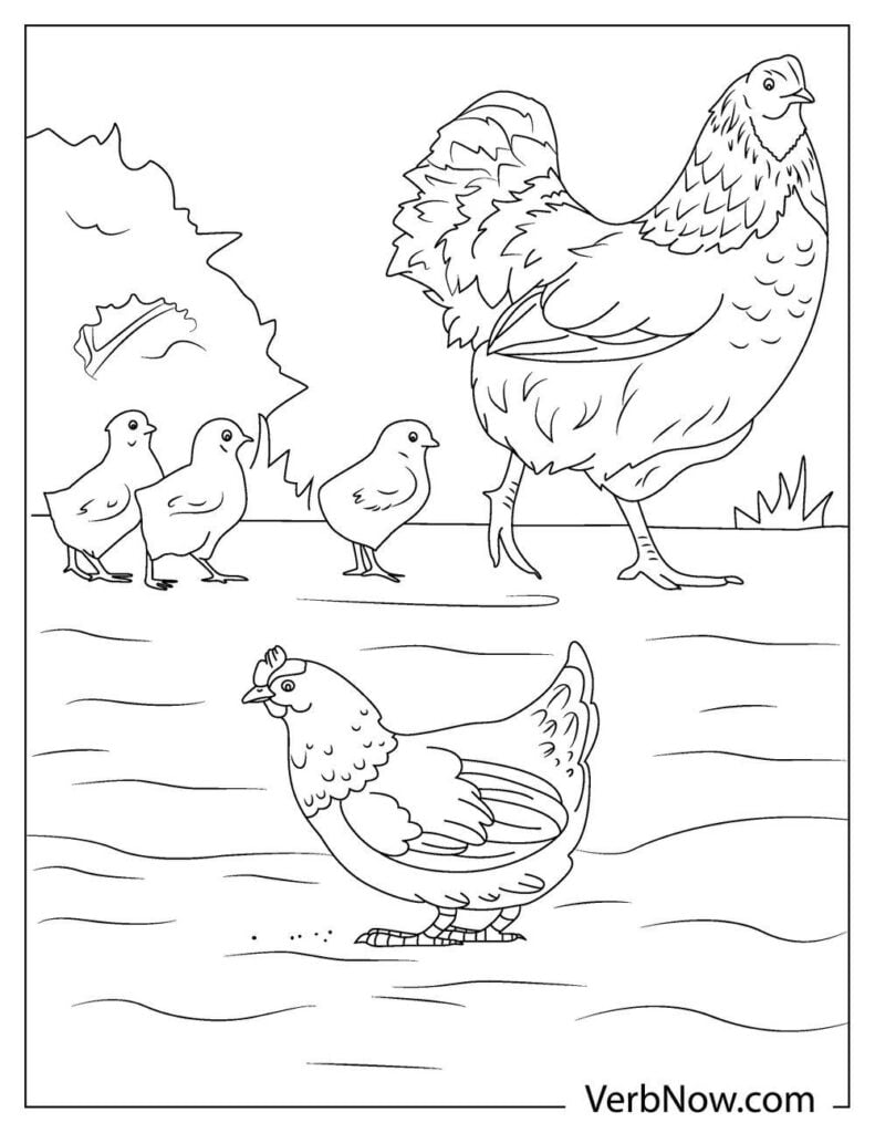 32 Cute Chicken Coloring Pages Printable 4