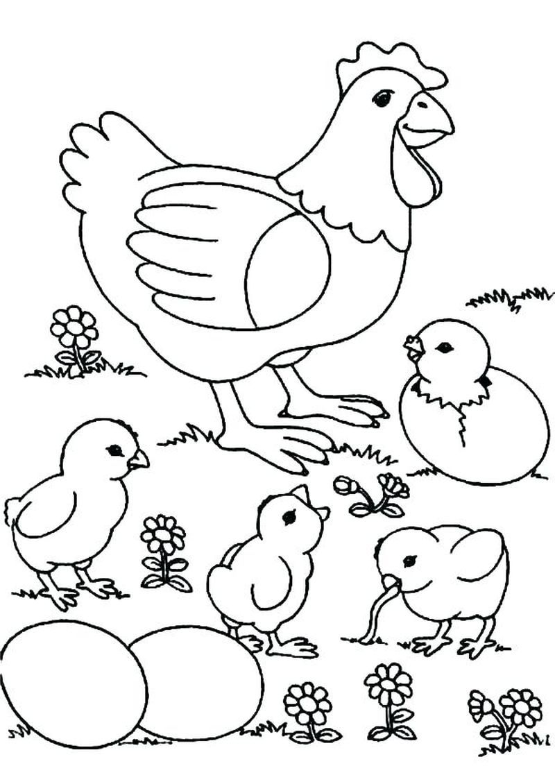 cute chicken coloring pages printable jpg