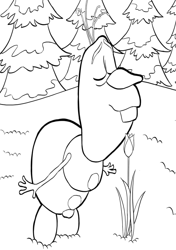 frozens olaf coloring pages printable jpg