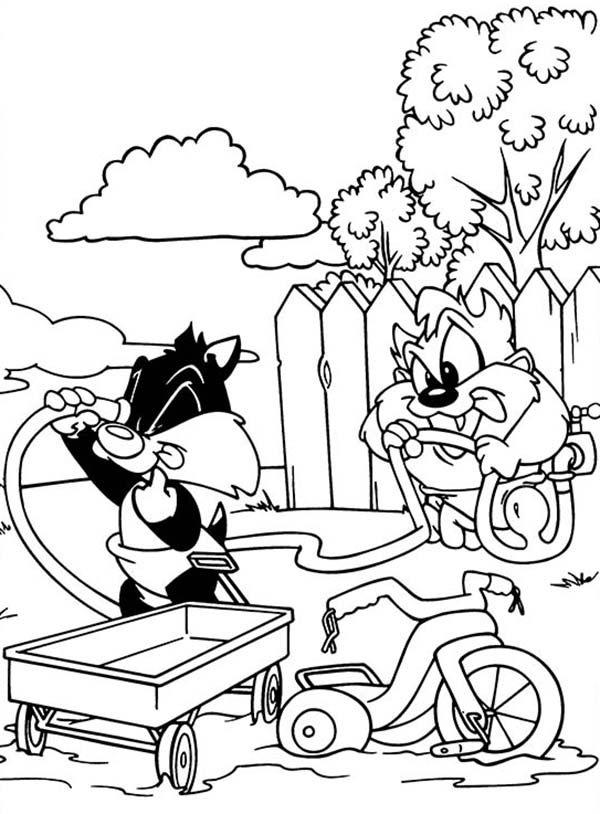 32 Zany Taz Coloring Page Printable 14