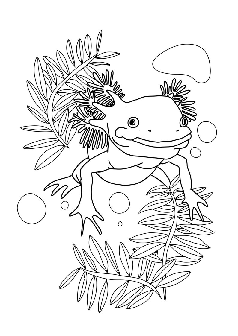 34 Axolotl Coloring Pages Printable 18