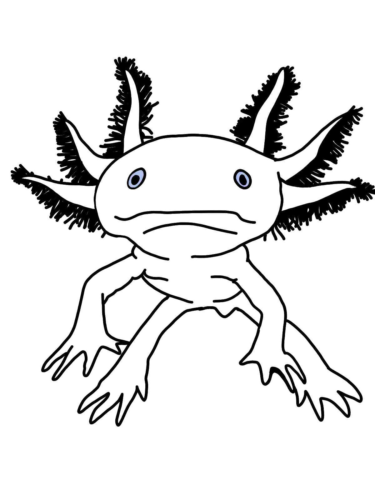 34 Axolotl Coloring Pages Printable 24