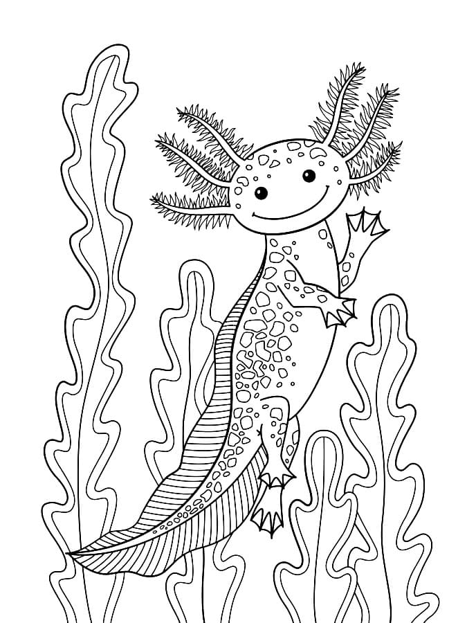 34 Axolotl Coloring Pages Printable 25