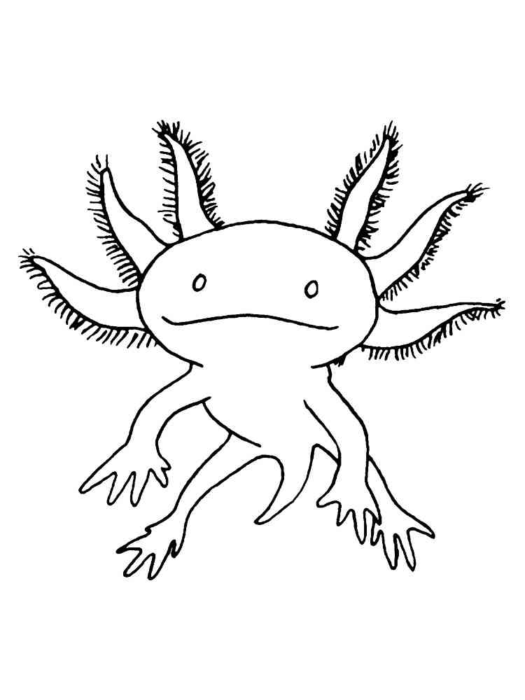 34 Axolotl Coloring Pages Printable 7