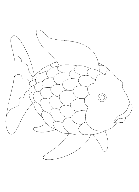 34 Free Rainbow Fish Coloring Pages Printable 16