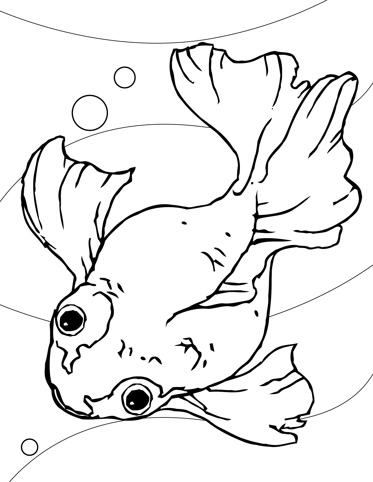 free rainbow fish coloring pages printable jpg