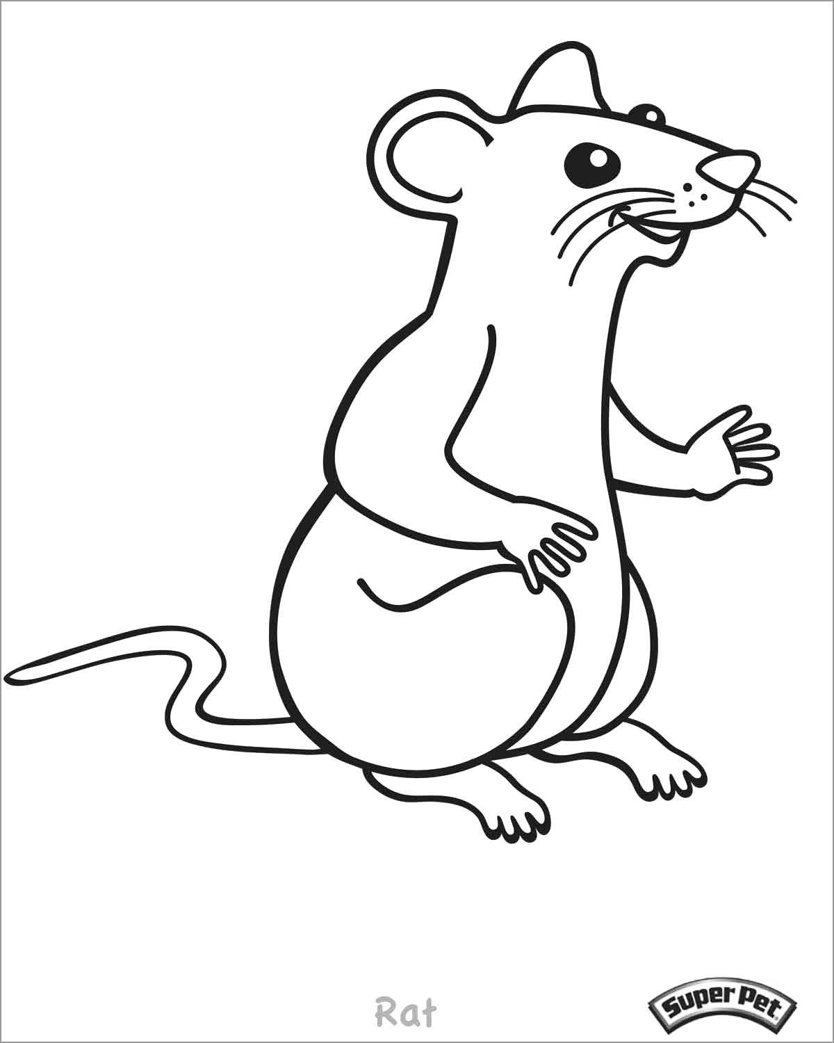 interesting rats coloring pages printable jpg