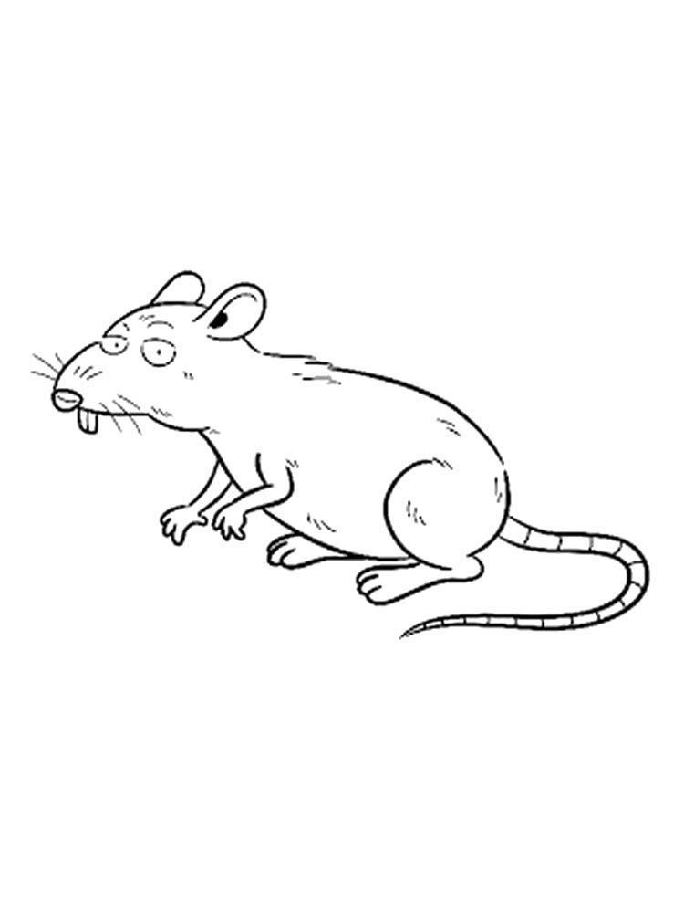 34 Interesting Rats Coloring Pages Printable 11