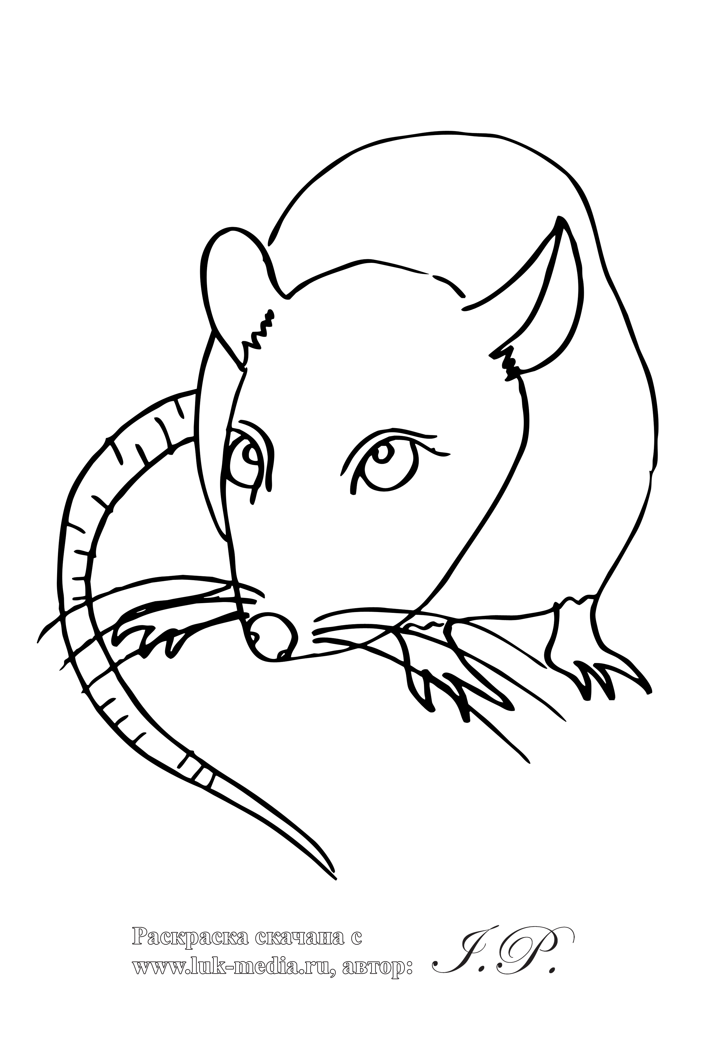 34 Interesting Rats Coloring Pages Printable 14