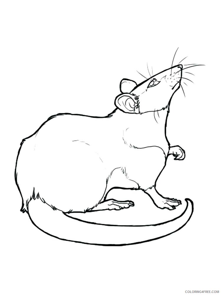 34 Interesting Rats Coloring Pages Printable 2