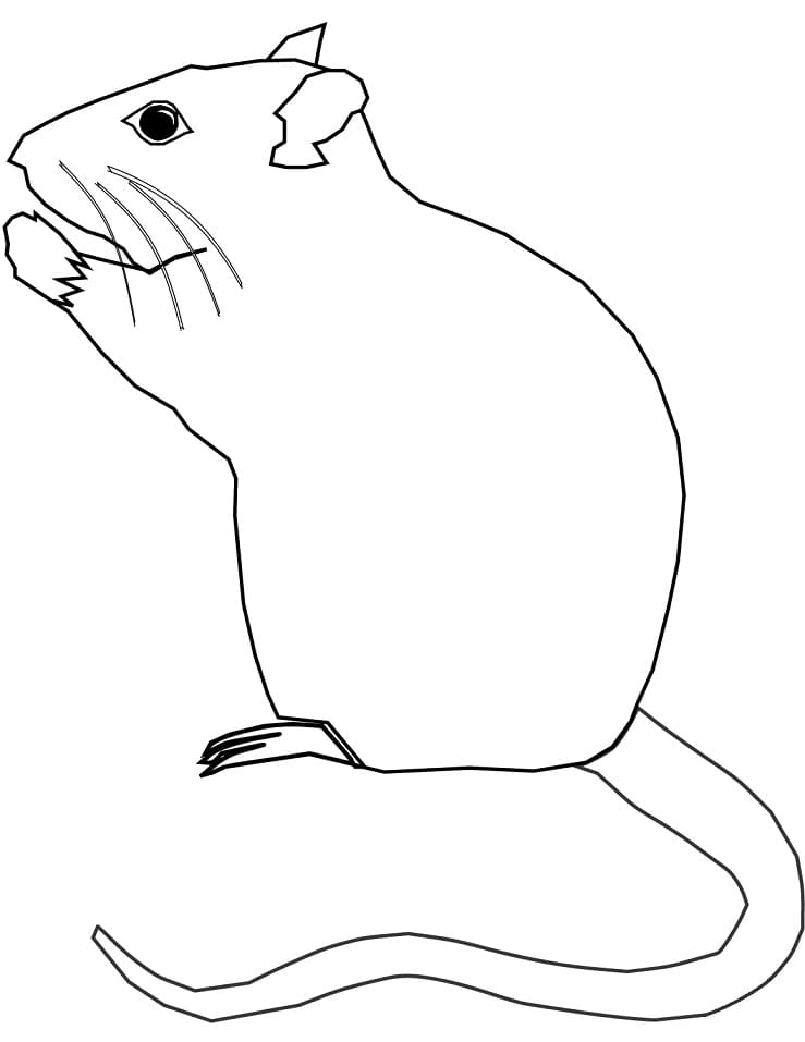 34 Interesting Rats Coloring Pages Printable 35