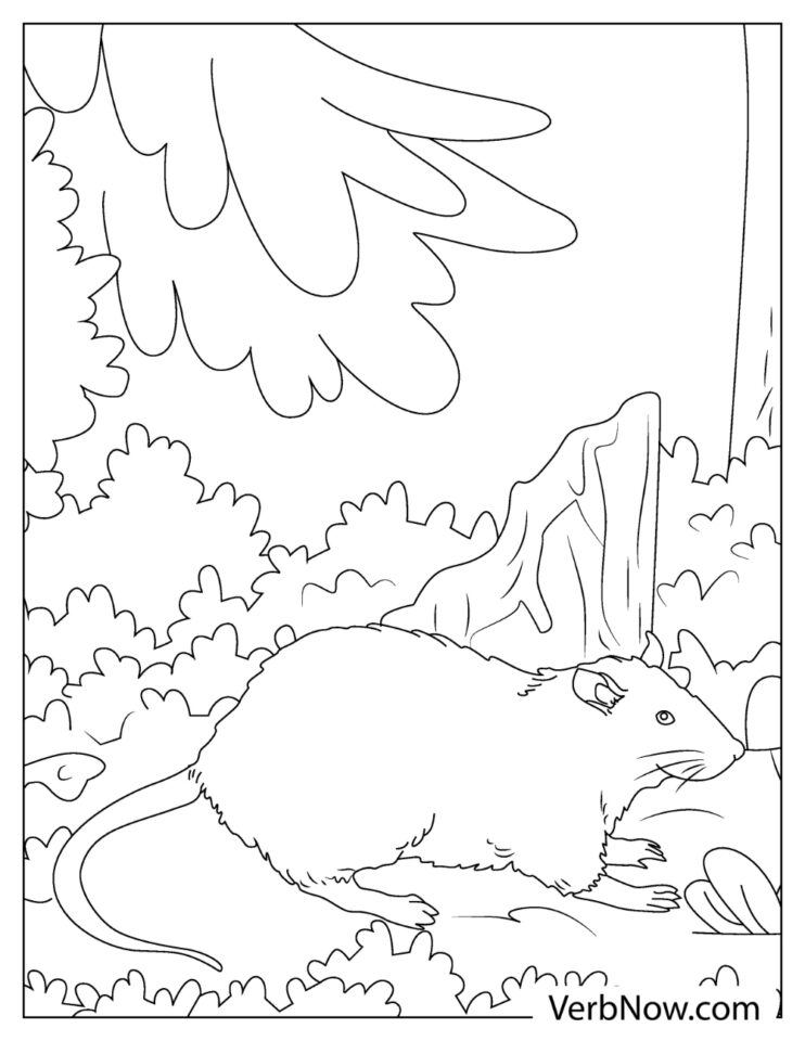 34 Interesting Rats Coloring Pages Printable 6