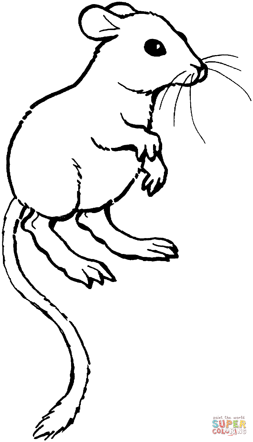 34 Interesting Rats Coloring Pages Printable 7