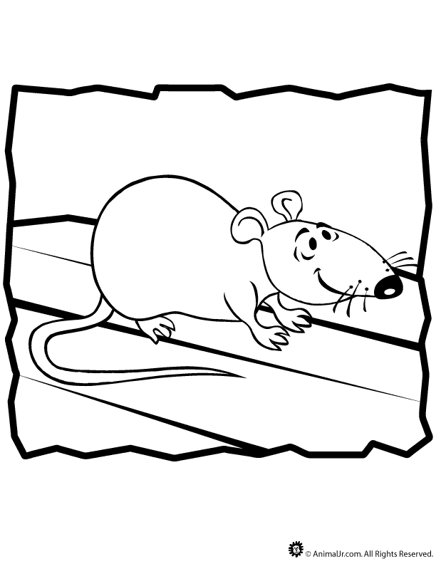 34 Interesting Rats Coloring Pages Printable 8