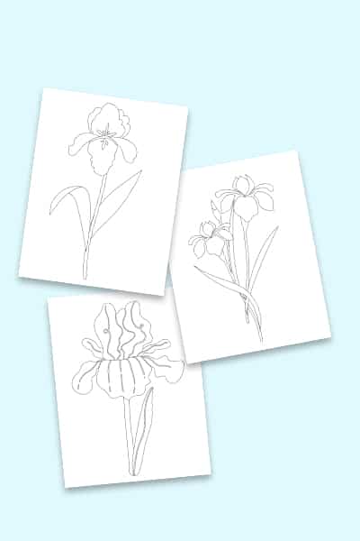 34 Iris Coloring Pages Printable 18