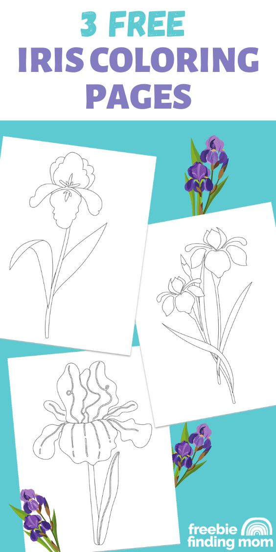 iris coloring pages printable jpg