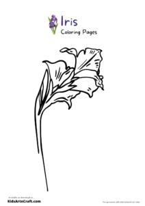 34 Iris Coloring Pages Printable 32