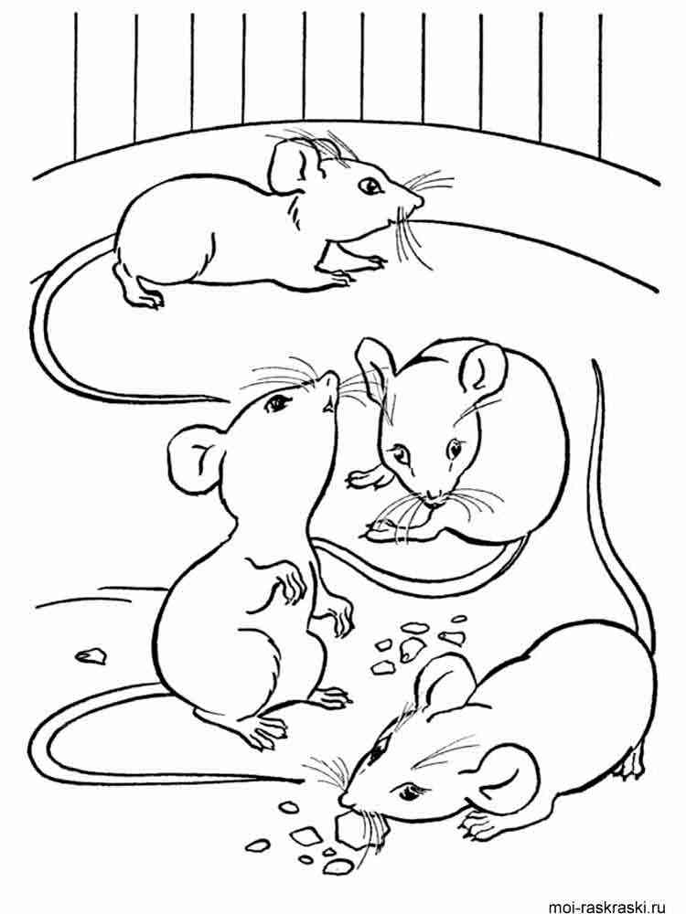 34 Mice Coloring Pages Printable 1