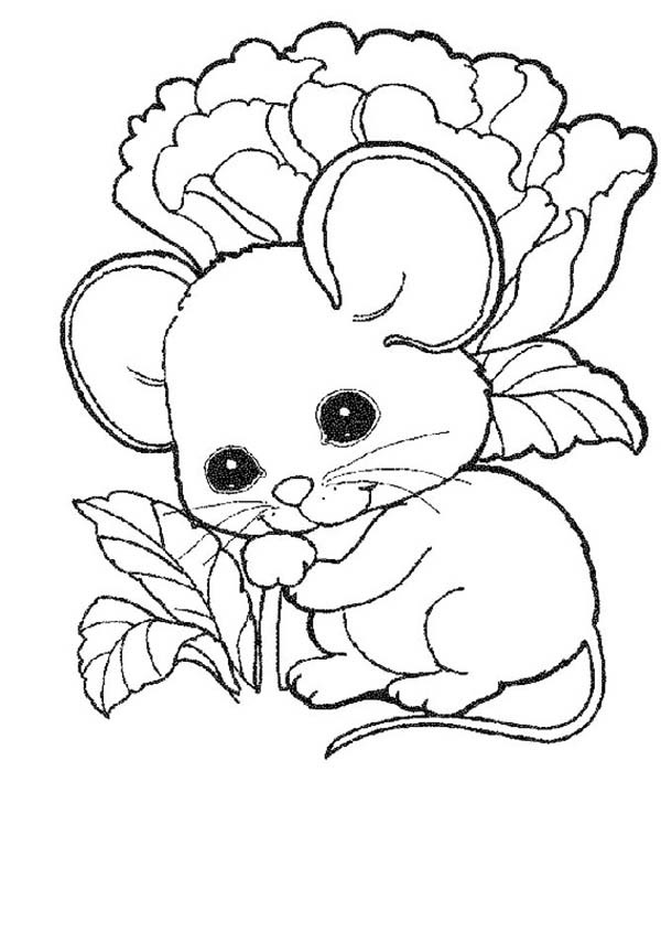 mice coloring pages printable jpg