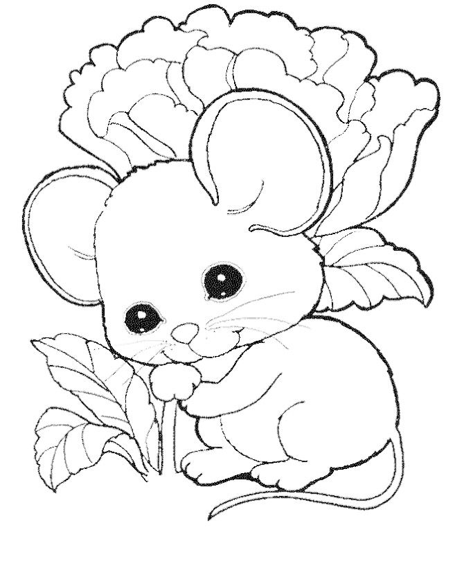 34 Mice Coloring Pages Printable 30