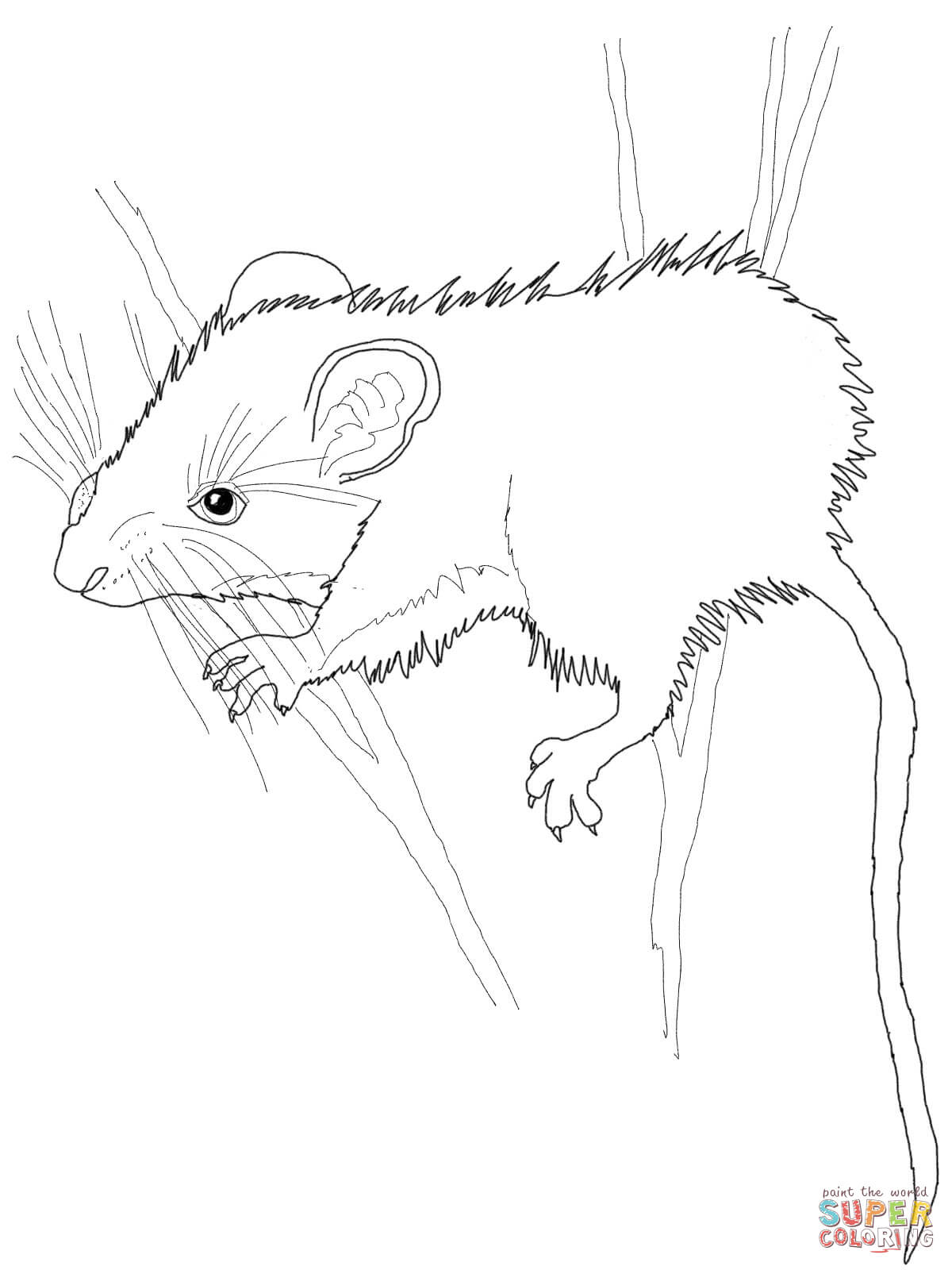 mice coloring pages printable jpg